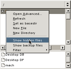 A screen shot showing how to turn files and folders' visibility on the whole system