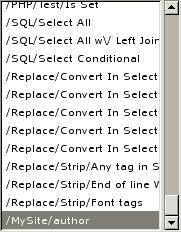 A screen shot of a new custom entry in the Menu path list