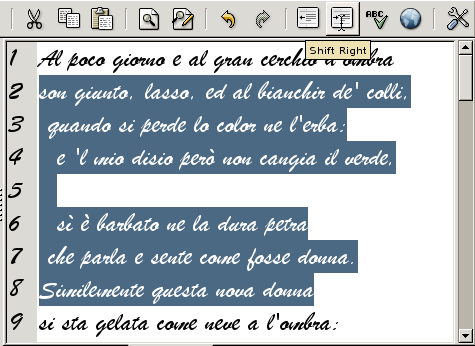 A screen shot of a text indented with the shift right button