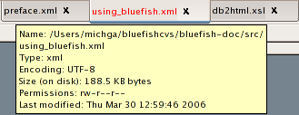A screen shot showing Info on open file