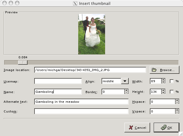 A screen shot of the insert thumbnail dialog